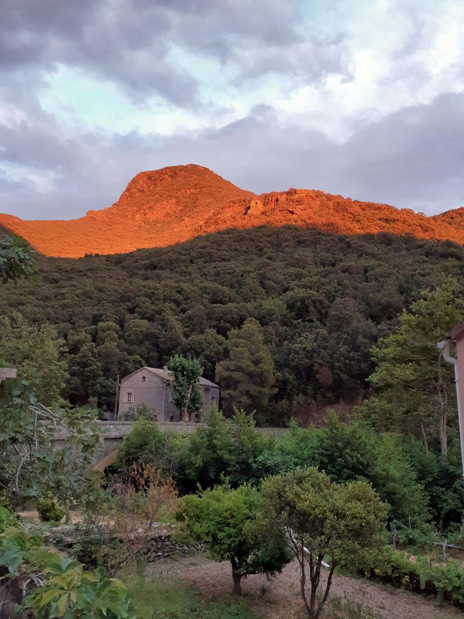 Cap Corse - Maison A 500M De La Plage Grillasca Exteriér fotografie