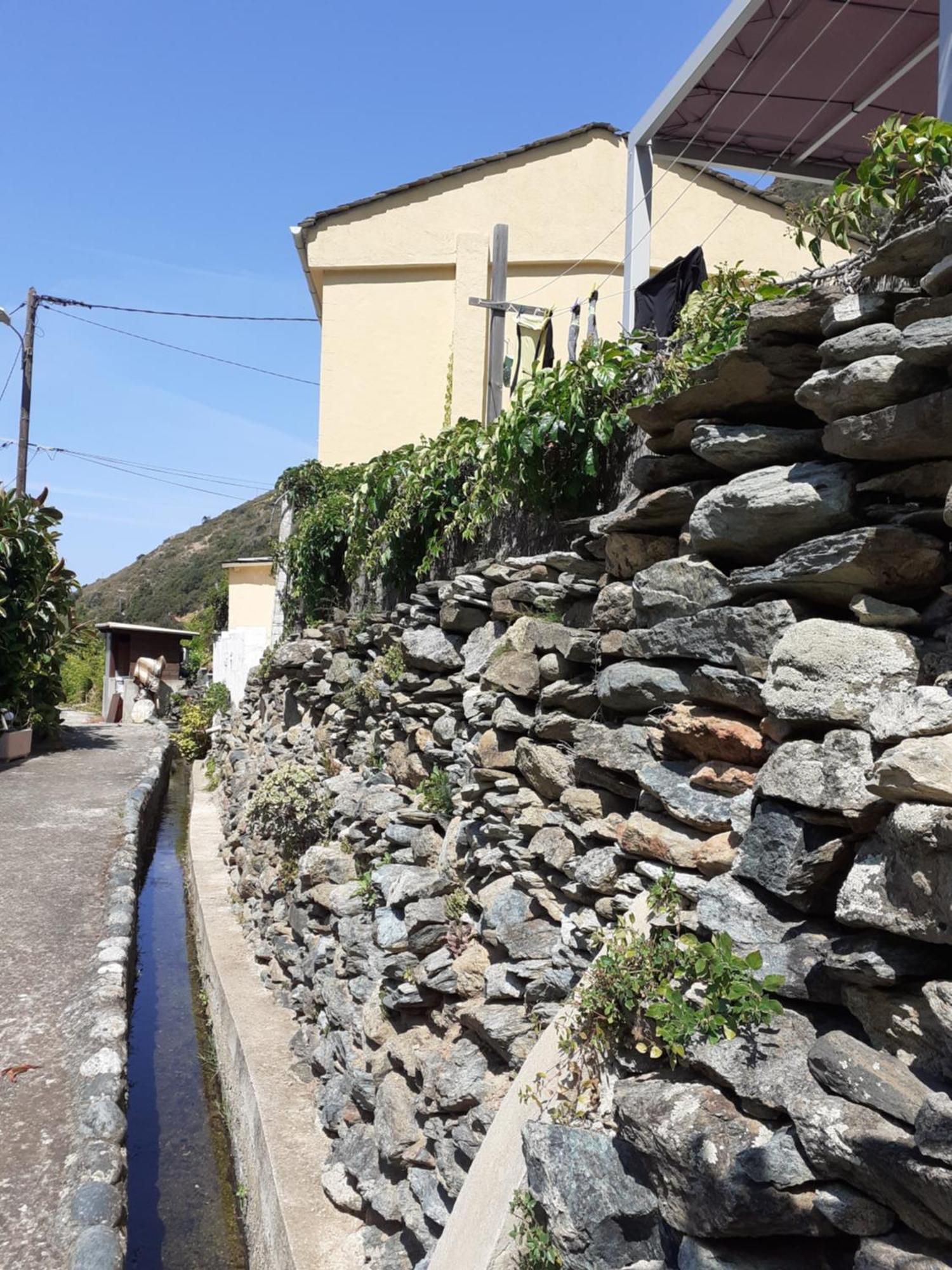 Cap Corse - Maison A 500M De La Plage Grillasca Exteriér fotografie